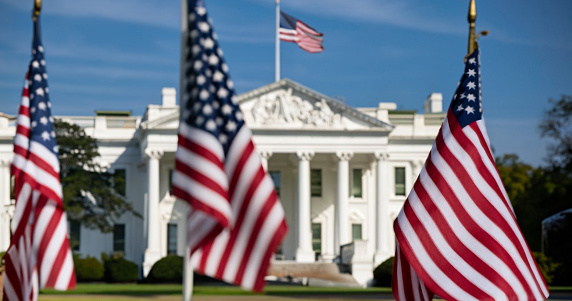 This compelling photograph captures the essence of American democracy with a captivating view of the White House in the background, framed by a row of American flags in the foreground. The flags, symbolizing the nation's unity and resilience, stand proudly in front of one of the most iconic landmarks in the United States.