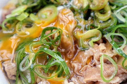 Close-up of beef bowl with green onion and egg