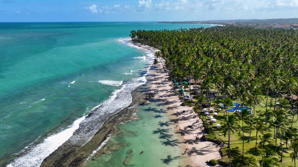 istock Sheep Beach At Tamandare In Pernambuco Brazil. 1691080504