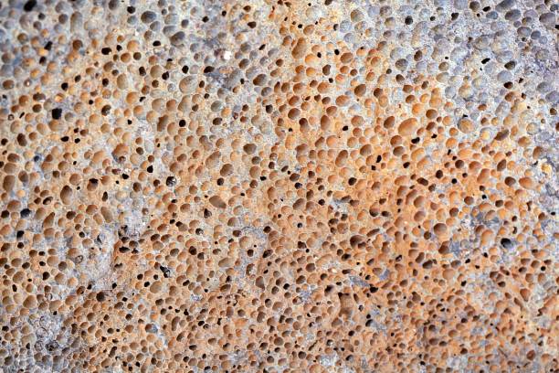 istock Surface of a volcanic rock with vesicular texture, Tenerife 1691086192