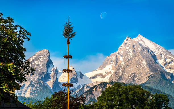 typical bavarian maypole in front of blue sky - photo
