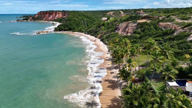 istock Tabatinga Beach At Conde In Paraiba Brazil. 1691106348