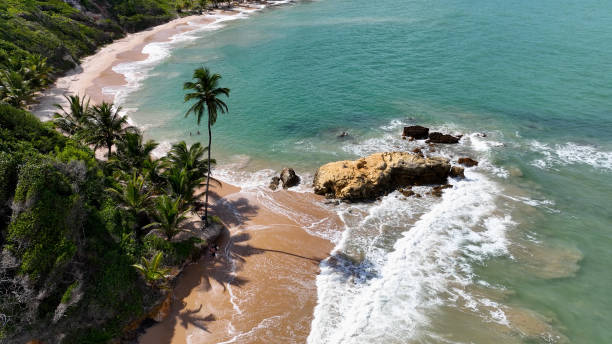 istock Tabatinga Beach At Conde In Paraiba Brazil. 1691106388