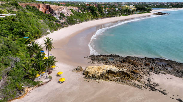 istock Tabatinga Beach At Conde In Paraiba Brazil. 1691106906