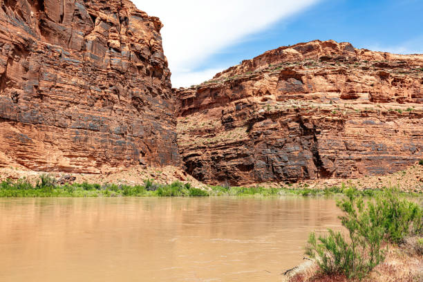 istock Muddy Colorado River Canyon Landscape 1691109343