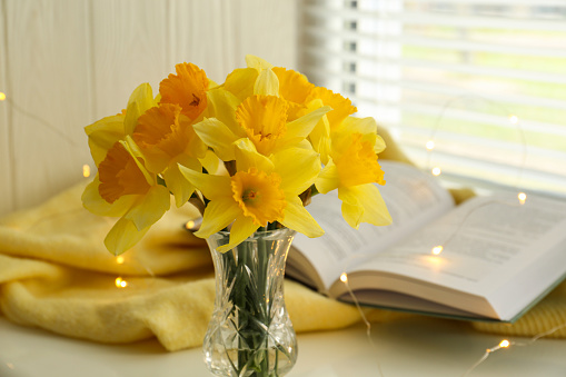Beautiful yellow daffodils in vase, book and festive lights on windowsill
