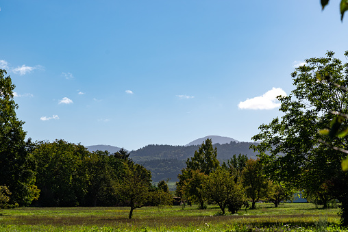 View over a meadow orchard to the foothills of the Black Forest in Breisgau on a beautiful summer day