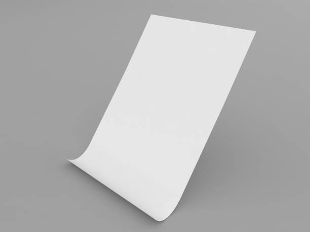 istock A white sheet of paper with a curved edge in A4 size on a grey background. 1691140803