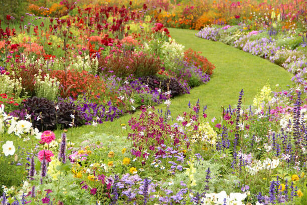 Large summer flower garden.