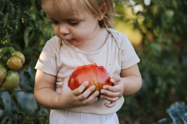 istock Freshly picked vegetables are the tastiest 1691172675