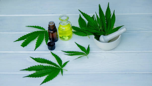 istock Hemp essential oil extract on a white background, hemp leaves. Selective focus. 1691178131