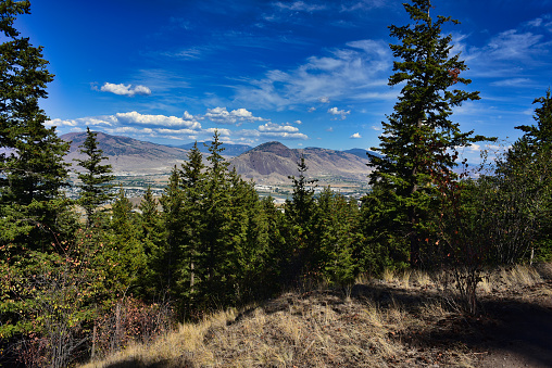 Interior British Columbia landscape