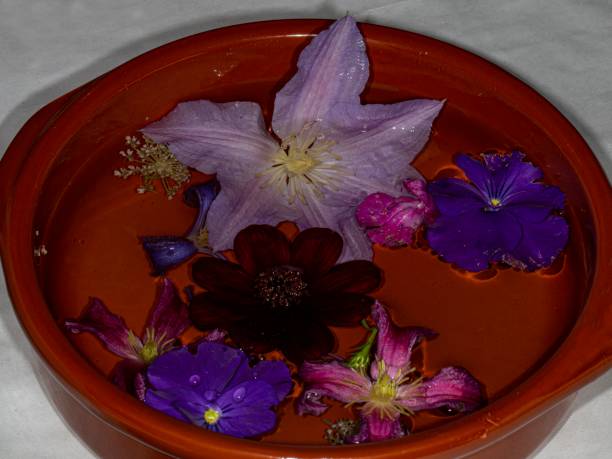 istock Bright Flowers In Water. 1691202870