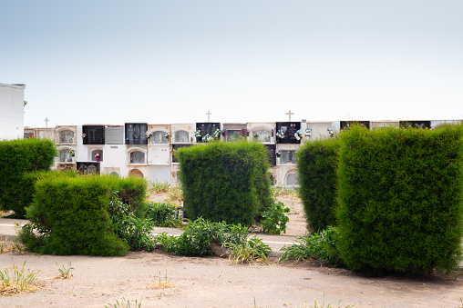 Tourist standing next to informational sign in barren landscape