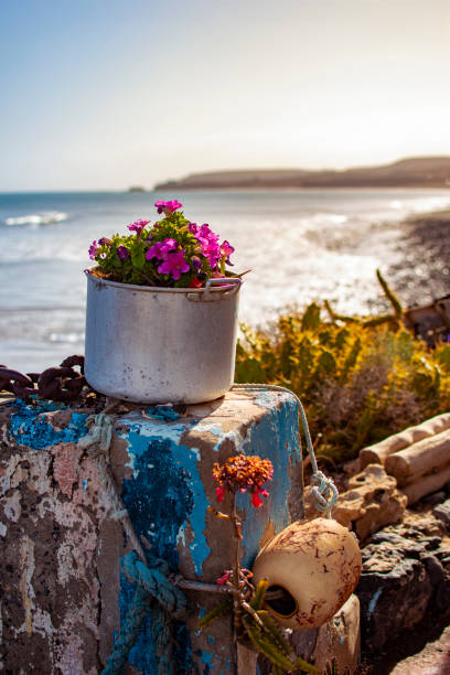 Fishing beach scene with an aluminum pot used as a pot for a pink flower plant on a weathered cement block with the beach in the background, at sunset.