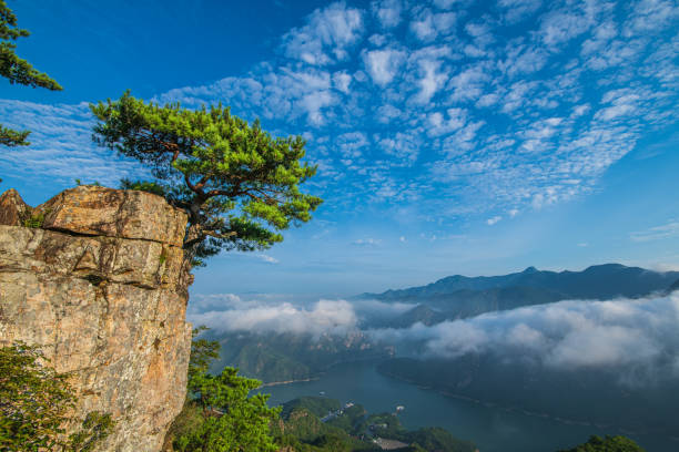 istock Trees, mountains, fog, clear sky and river. 1691301955