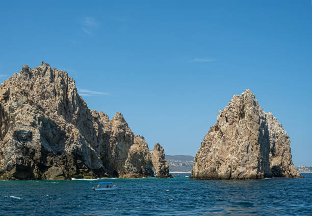 istock Marine peninsula end wolf reserve, Cabo San Lucas, Mexico 1691318552