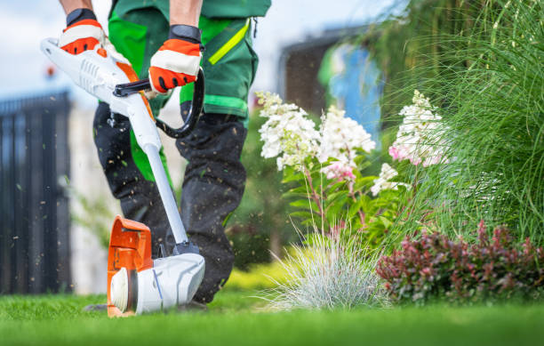 istock Professional Gardener with Lawn Edger Cutting Lawn Edges 1691351965