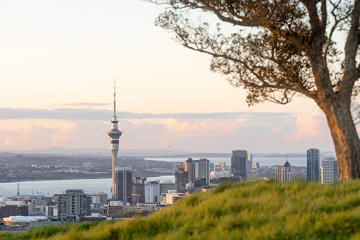 beautiful view of auckland city skyline from mount eden