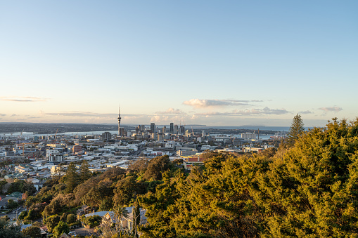 panoramic view of auckland city from top of mount eden
