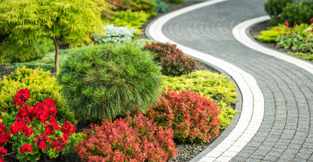 Elegant Winding Concrete Bricks Made Back Yard Garden Pathway