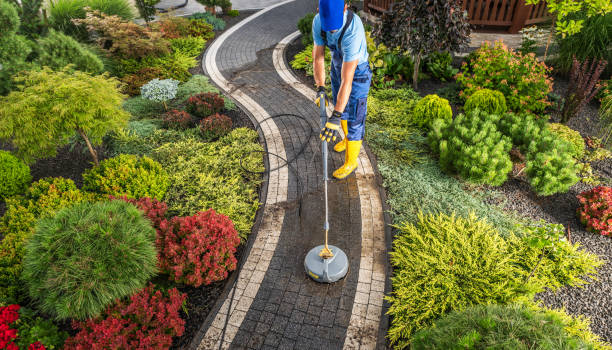 istock Back Yard Garden Pathways Washing Performed by Professional Worker 1691357574