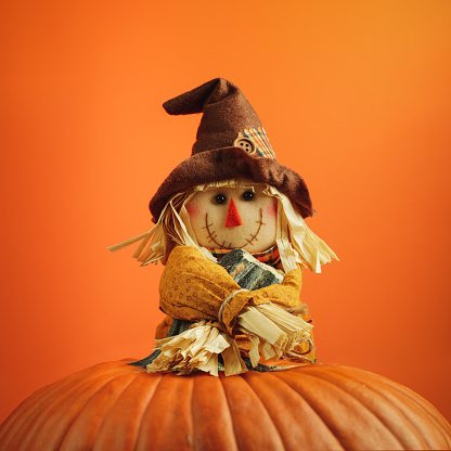 Cute little scarecrow smiling and hugging the stem of a large orange pumpkin. Happy theme for Halloween or Thanksgiving.