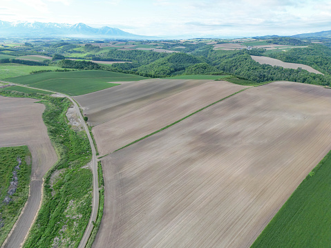 Hill of Biei in Hokkaido