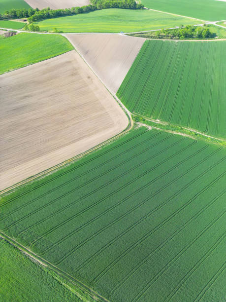 istock Hill of Biei 1691369631