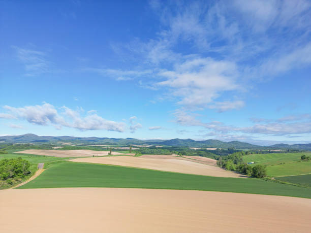 istock Hill of Biei 1691370761