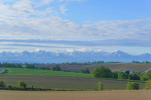 istock Hill of Biei 1691380114
