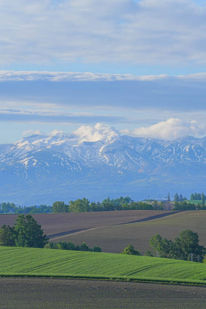 istock Hill of Biei 1691380118