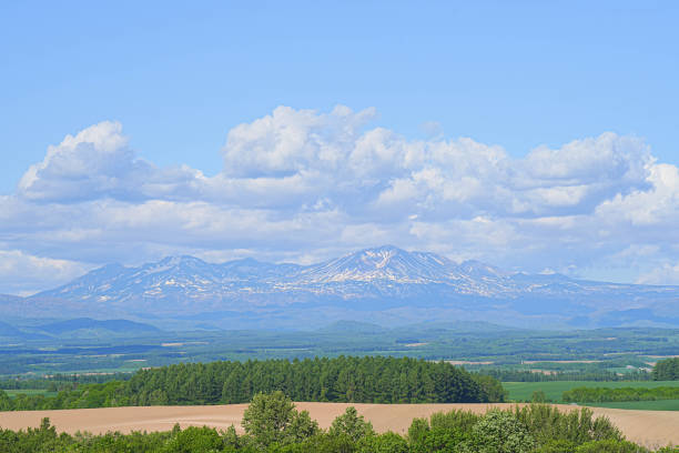 istock Hill of Biei 1691381804