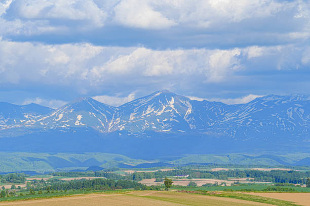 istock Hill of Biei 1691383001