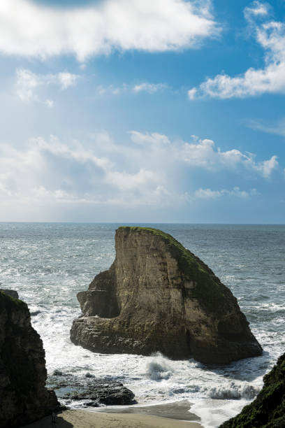 istock High Angle View of Shark Fin Cove 1691386420
