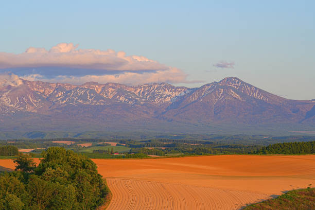 istock Hill of Biei 1691393638