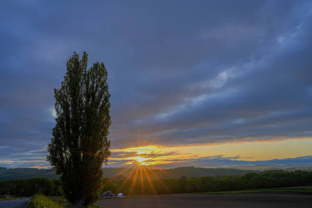 Hill of Biei in Hokkaido