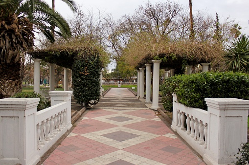 Cloudy day, low sun light, columns aligned, pergola with green vegetation and leafless trees in background