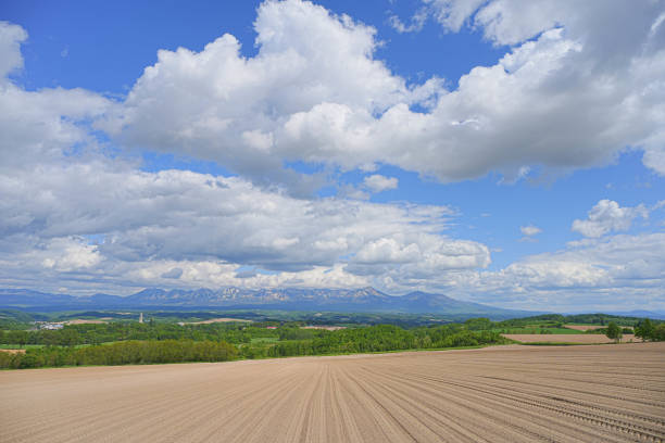 istock Hill of Biei 1691408085