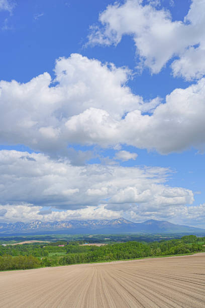istock Hill of Biei 1691408125
