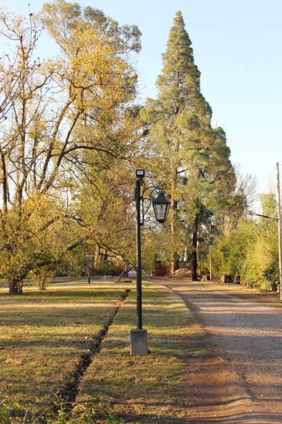istock Park in the morning yellowish light. 1691408799
