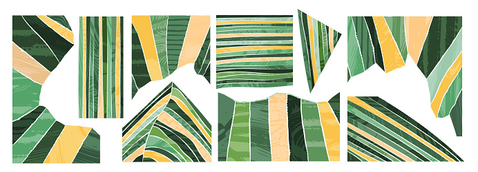 Abstract green paper shape for collage or pattern constructor. Eco garden, field, nature design vector background. Contemporary rectangle pieces composition. Geometric applique, patchwork