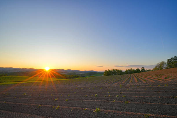 istock Hill of Rurishibe 1691410009