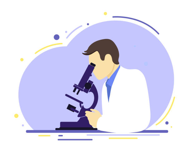 A scientist looks through a microscope. A scientist looks through a microscope. Flat style. scientist looking through microscope stock illustrations