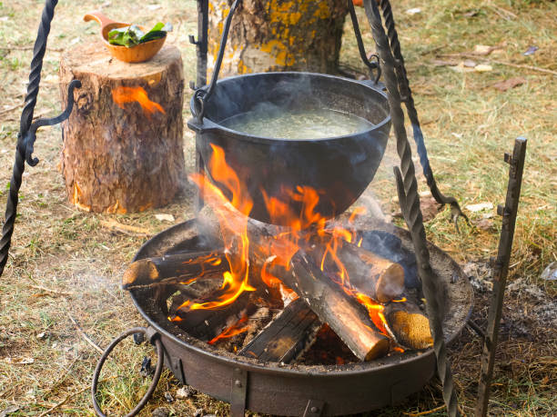Soup is cooked in a pot on a fire in the forest close up stock photo