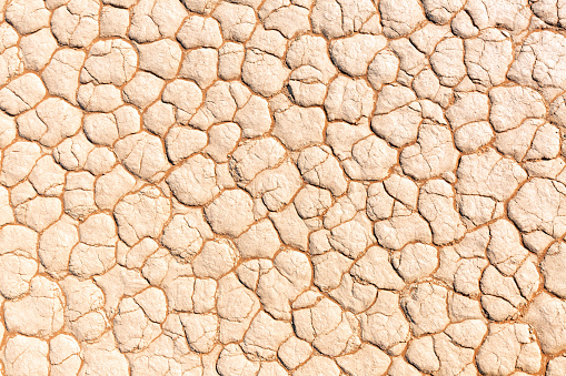 Cracked limestone in Sossuvlei, Namibia