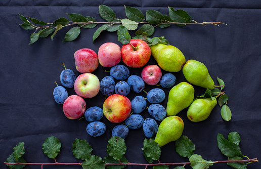 Pears, apples and plums on a black background
