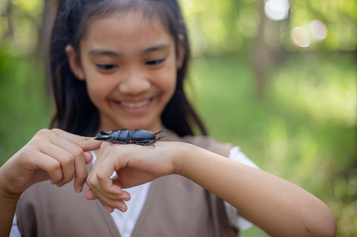 Elementary age boy uses magnifying glass to discover nature.   This curious, student explorer excitedly investigates an insect, which he holds in his hand. His friend is in the background. The children are of Asian, Indian, Latin descent.  Science, education themes.