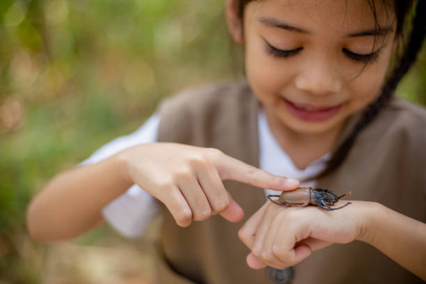 istock A little Asian girl using a magnifier to study a stag beetle in a park. 1691490684