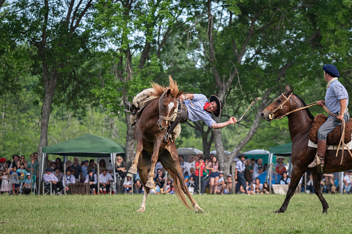 San Antonio de Areco, Buenos Aires Province, Argentina - November 10, 2019: Gaucho rider performing skills on horseback